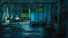 Grand Prix filmovima 'Oscuro animal' i 'Događaji u maglenoj komori'