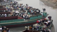 Više od sto ljudi iz čamca stiglo u Indoneziju, stotine još na moru