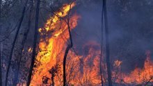 Bosnia seeks int'l help in putting out fires