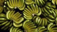 Zlato je prošlost, vrijeme je za banane i kikiriki