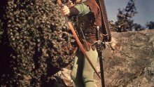Pijani Robin Hood regulirao promet