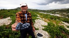 Vladin fušerski udar na rad u fušu