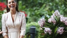 Tko bi rekao da je Kate Middleton tako opasna