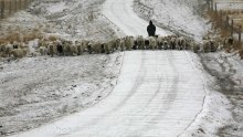 U BiH pola milijuna nezaposlenih, a nitko ne želi u pastire