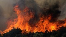 Šumski požar zapadno od Atene, gase ga vatrogasci, pet aviona i dva helikoptera