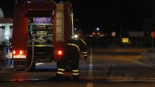 Opet srušen bor na jadransku magistralu