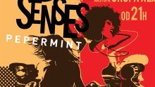 Soul Senses Nights u Pepermintu