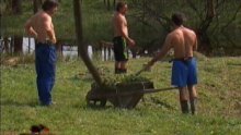 Farmeri maštaju o novim djevojkama