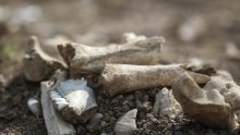 U Gračanima pronađena masovna grobnica iz Drugog svjetskog rata?