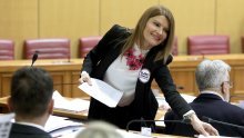 Glasovac: Netko je pod okriljem noći masakrirao Strategiju obrazovanja