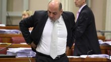 I Milijan Brkić plagirao diplomski rad?!