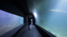Projektu Karlovačkog slatkovodnog akvarija dvije prestižne nagrade