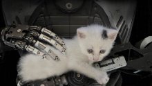 Domaći The Talos Principle i druge igre na brutalno niskim popustima