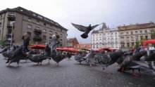 'Zakupci na Britancu ostat će bez posla jer prodaju lako kvarljivu robu'
