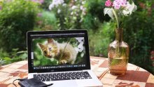 Ne trebaju vam skupocjeni alati za uređivanje fotki kad imate - web