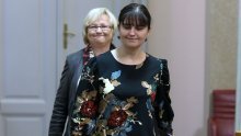 Sredila se gospođa Puh za Sabor, trebala je napraviti i frizuru, ali ju je valjda kiša omela