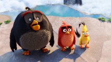 Rezultati očerupali dionice proizvođača Angry Birdsa