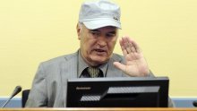 Status conference in Mladic case - organisation of pre-trial proceedings