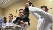 Rusi pred Vučićem ugurali psa u cijev punu tekućine