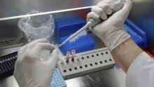 Prvi slučaj 'svinjske gripe' u Sloveniji