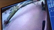 Majku i dijete u Nizozemskoj zamalo poklopilo drvo, sve snimila kamera