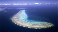 Oceani sve kiseliji, koraljni grebeni počet će propadati i prije nego što se mislilo