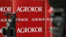 Todorić objavio iskaz direktora AlixPartnersa Uskoku: Potvrđeno da je Borg radio na otimanju Agrokora