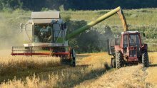 Proizvođači pšenice nezadovoljni ponuđenim otkupnim cijenama od 0,95 do 1,20 kn/kg