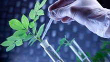 Stiže druga, pozitivnija generacija GMO-a!