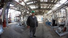 Petrokemija osniva tvornice paleta i gline, likvidira se Petrokemija Novi Sad
