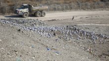 Petorica iz splitske Čistoće završila u istražnom zatvoru