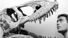 Potpuno novi pogled na svijet i život dinosaura uz pomoć najnovijih tehnologija