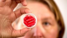 Hrvatski liječnici protiv korone propisivali antibiotike: U EU od nas je po tome gora samo jedna nacija