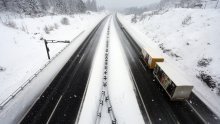 HAK upozorava: Na autocesti A1 uočen vuk!