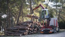 Podnesene četiri kaznene prijave zbog Park šume Marjan
