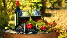 Wine and cuisine seen as Croatia's drawcard
