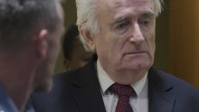 Karadžić se žalio na presudu doživotnog zatvora