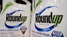 Monsanto mora isplatiti žrtvi preko 80 milijuna dolara jer je zbog njihova proizvoda dobio rak