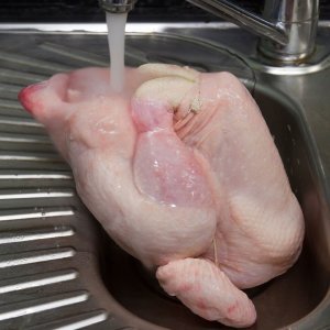 Pranje piletine prije kuhanja