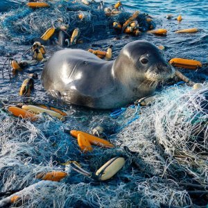 Plastika u oceanima