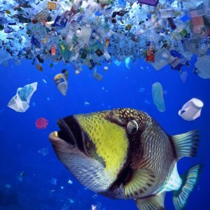 Plastika u oceanima