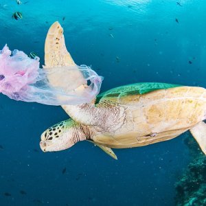 Plastika u oceanima