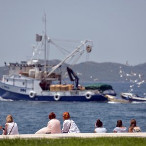 Zadar: Gradska riva najdraže mjesto mladima za sunčanje