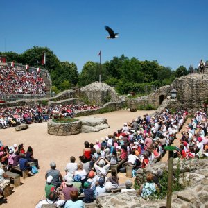 Zabavni park Puy du Fou