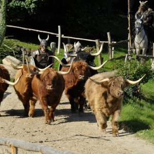 Zabavni park Puy du Fou