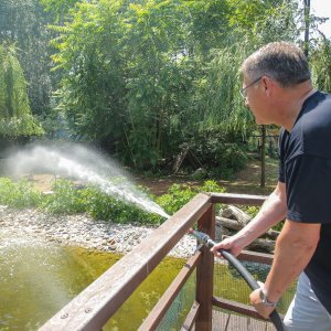 Hladne poslastice u Zoološkom vrtu