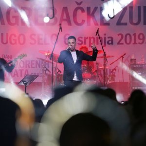 Dugo Selo: Ivan Zak održao koncert na Danu Zagrebačke županije