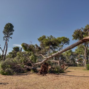 Zadar nakon olujnog nevremena