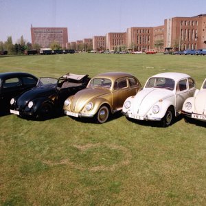 VW Buba od 1938. do 1975. godine