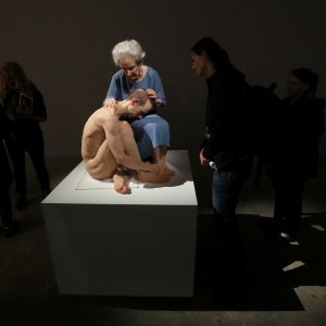 Izložba 'In the Flesh' u Irskoj